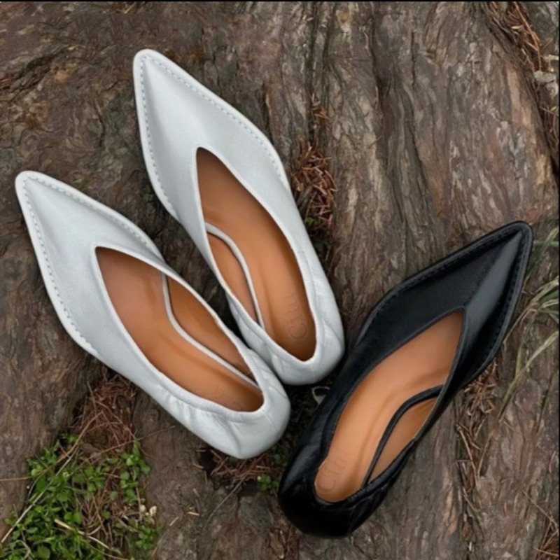 2025 New Pointed Toe Single Sh - Women'S Fashion Spring 2025 review and price